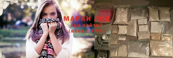 ГАЛЛЮЦИНОГЕННЫЕ ГРИБЫ Горняк