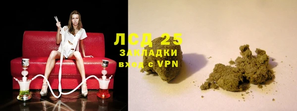 ГАЛЛЮЦИНОГЕННЫЕ ГРИБЫ Горняк