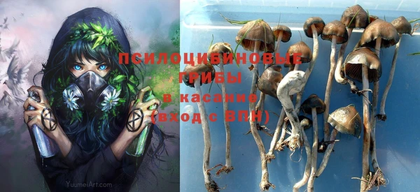 хмурый Горнозаводск