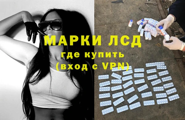 ГАЛЛЮЦИНОГЕННЫЕ ГРИБЫ Горняк