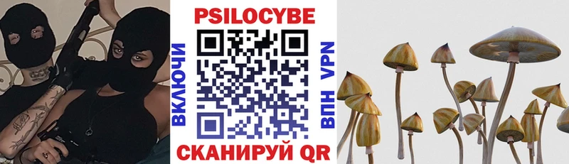 Псилоцибиновые грибы прущие грибы  закладка  Евпатория 